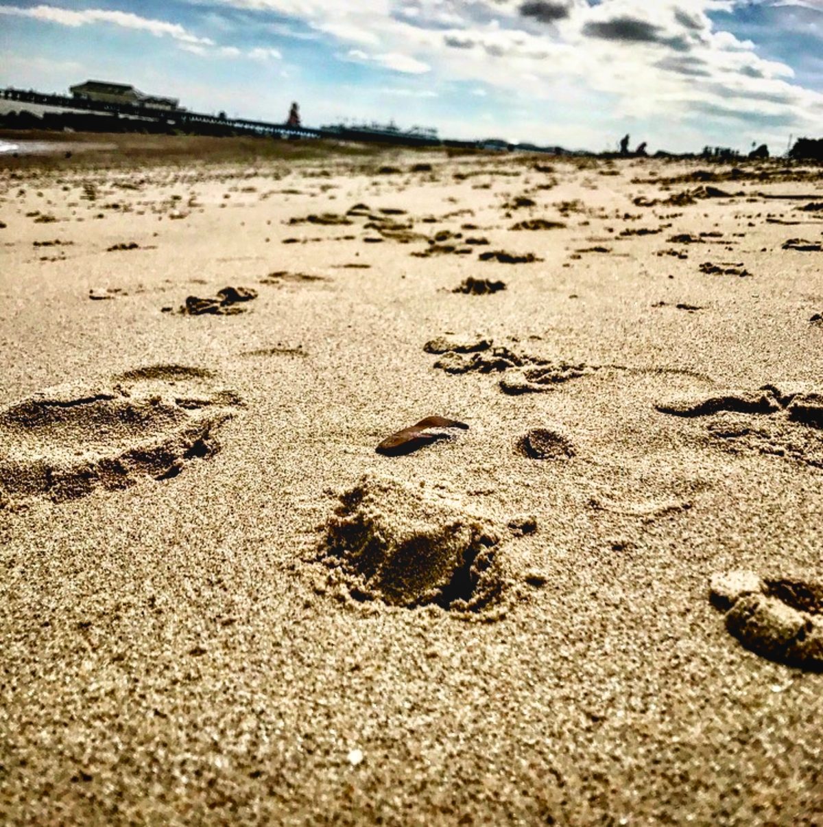 Where We Walked