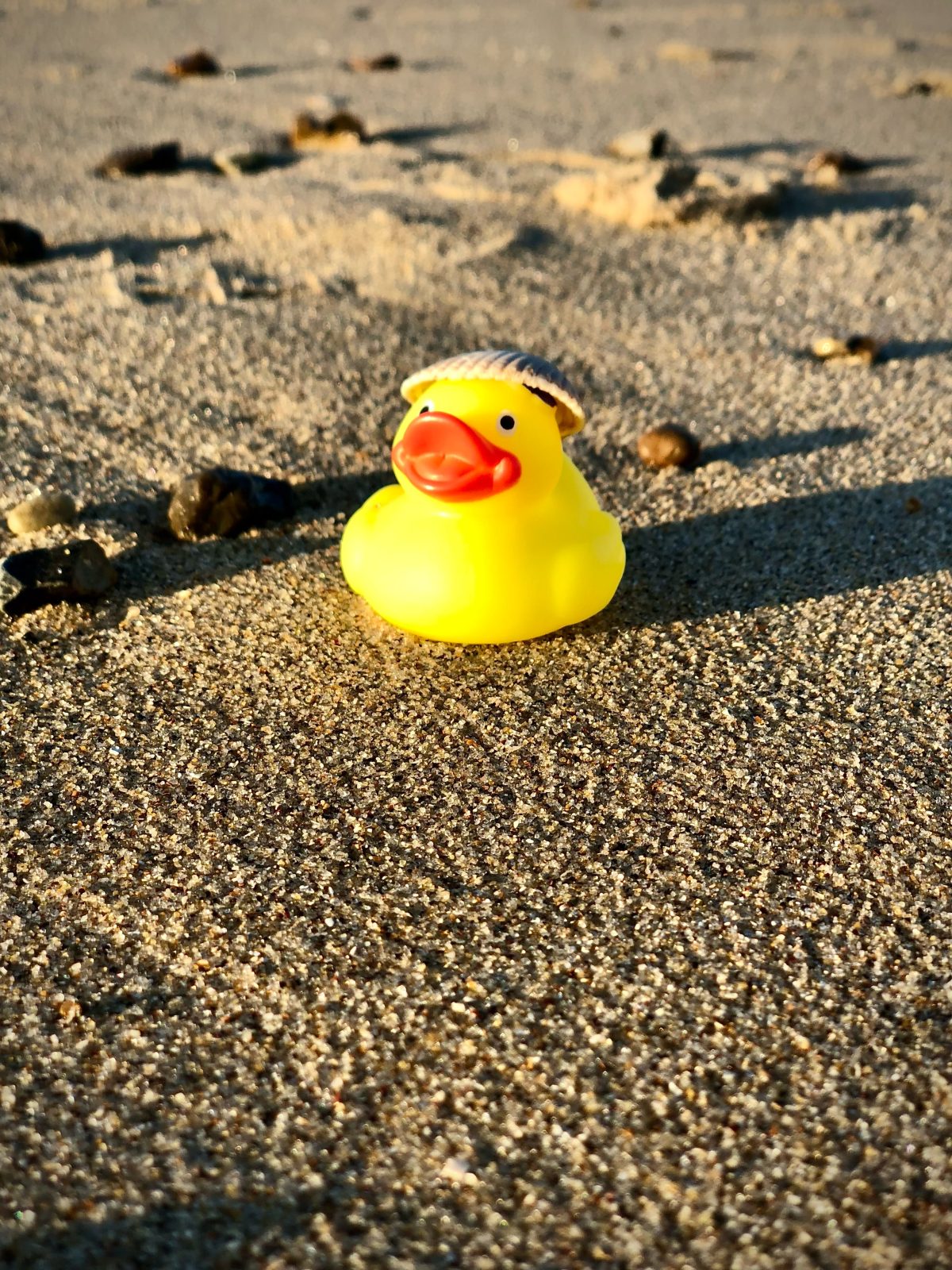 Duck On Duty