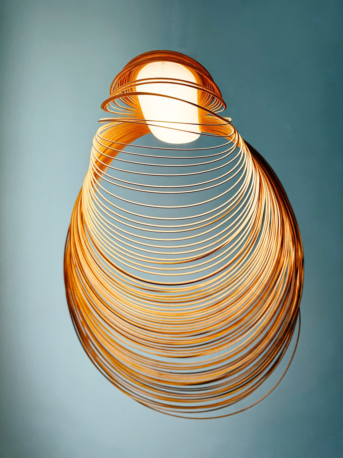 Luminous Nest
