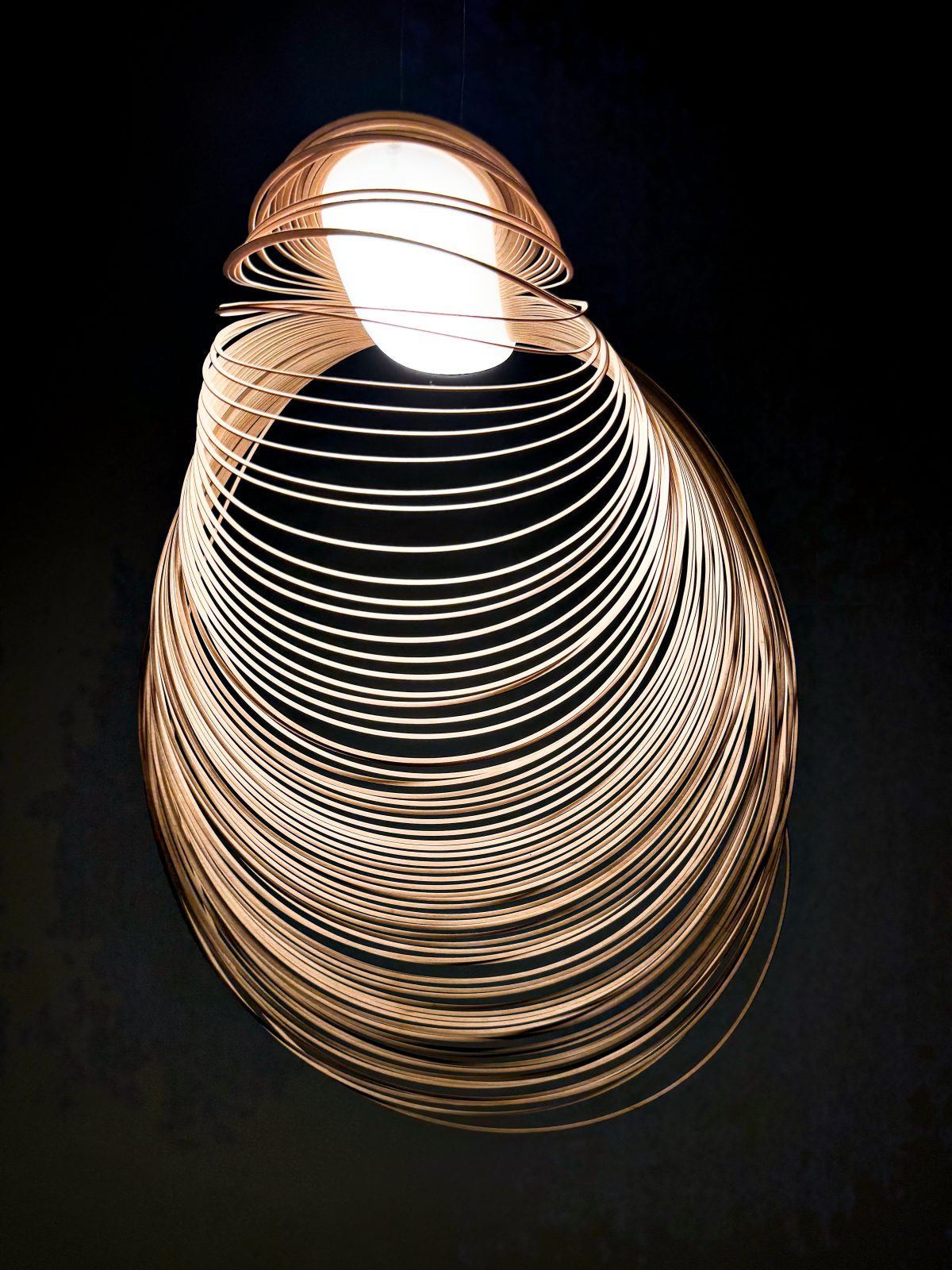 Luminous Nest - Image 2